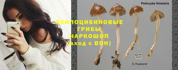 дмт Заволжье