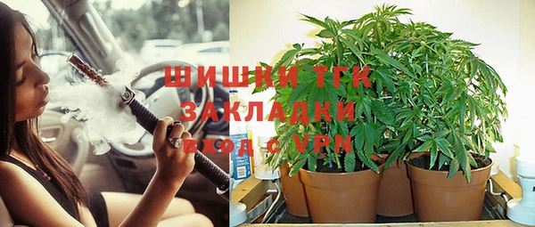 ПСИЛОЦИБИНОВЫЕ ГРИБЫ Заволжск