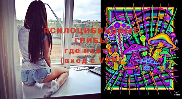ПСИЛОЦИБИНОВЫЕ ГРИБЫ Заволжск