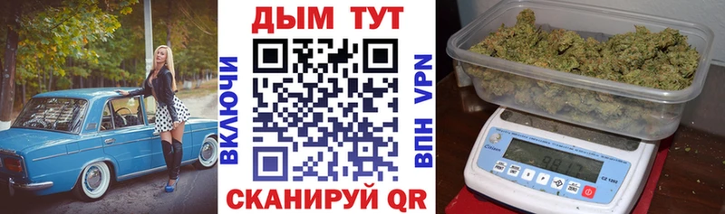 Купить где  Высоковск  Каннабис OG Kush 